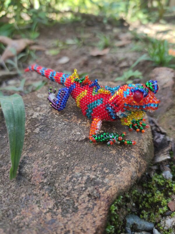 Iguana mediana - Image 4