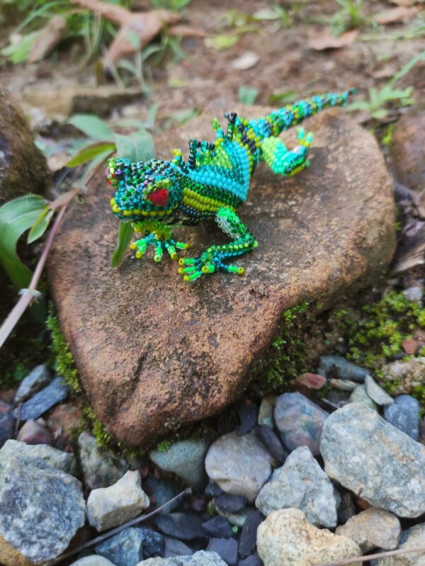 Iguana mediana - Image 2
