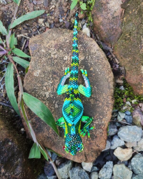 Iguana mediana - Image 3