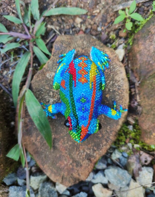 Sapo - Image 2