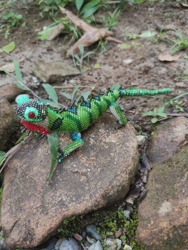 Iguana grande - Image 4