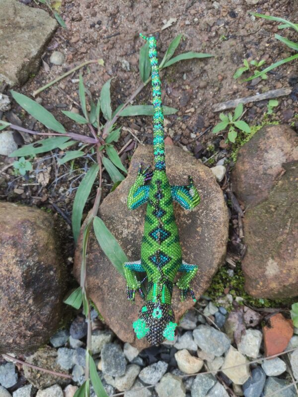 Iguana grande - Image 3