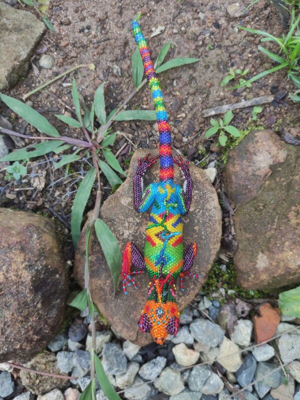 Iguana grande - Image 2