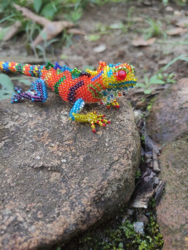 Iguana mediana - Image 6
