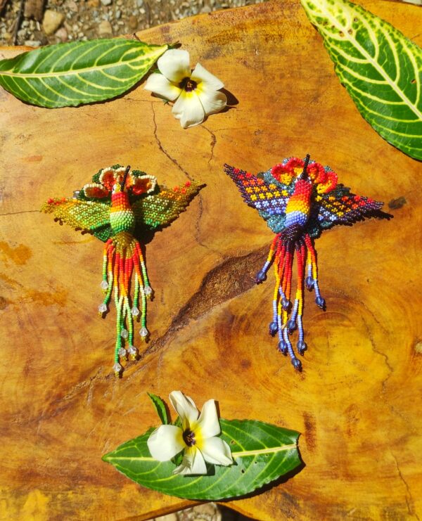 Binchas para el pelo colibri